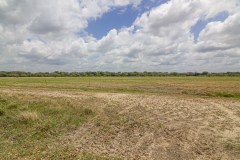IMG_8116