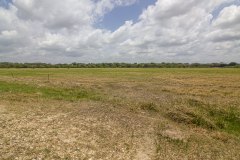 IMG_8119