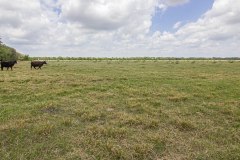 IMG_8134