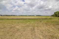 IMG_8141