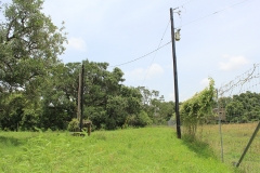 Electricity
