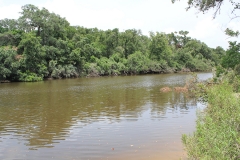 River View