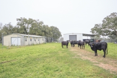California Ranch Barns