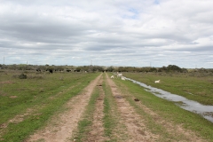 all weather road