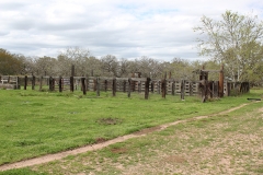 cattle pens