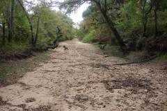 creek bed 2