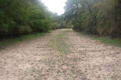 creek bed