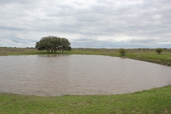 front tank