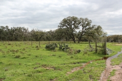 open areas 2