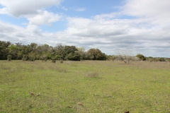 open areas