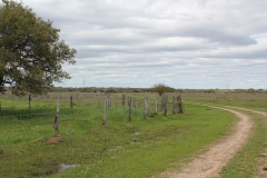 pasture 2