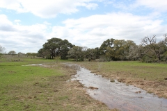 runoff 2