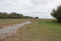 runoff