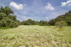 Coleto Lake Open Areas
