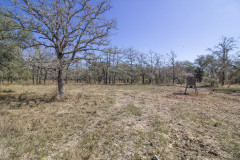 ezzell-ranch-feeder-2