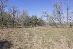 ezzell-ranch-feeder-4