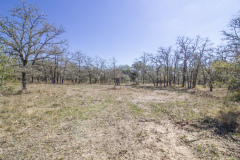 ezzell-ranch-feeder