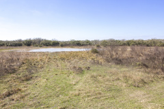 ezzell-ranch-pond-4