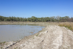 ezzell-ranch-pond-close