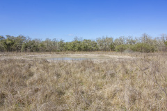 ezzell-ranch-pond