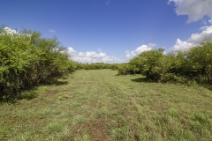 20 acres 3