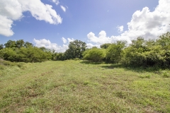20 acres 5