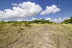 electrical lines