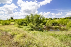 gravel pit (2)