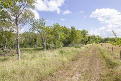 lane to 20 acres