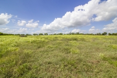 pasture 2