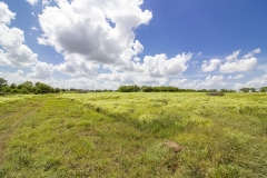 pasture 3