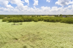 pasture