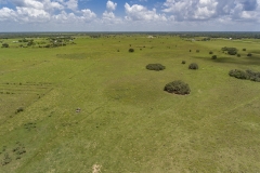 DJI_0081