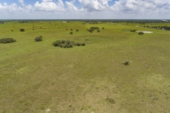 DJI_0088