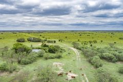 DJI_0009