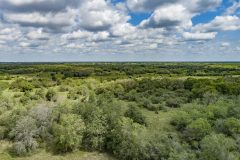 DJI_0050-2