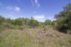 goliad-tract-2-brush