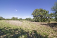 goliad-tract-2-land