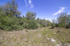 goliad-tract-2-oaks-2