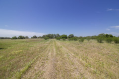 goliad-tract-2-pasture
