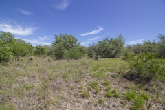 goliad-tract-3-oaks-motts