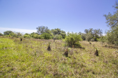 goliad-tract-3-pasture-1