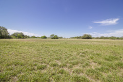 goliad-tract-3-pasture-3