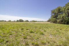 goliad-tract-4-pasture-2