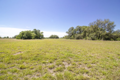 goliad-tract-4-pasture
