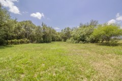 Cattle-Pen-area