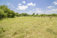 Pasture-near-river