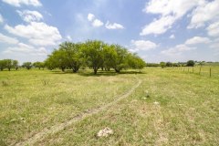 Pastureland-views