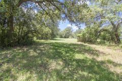 Wooded-Areas