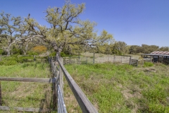 cattle pens 2